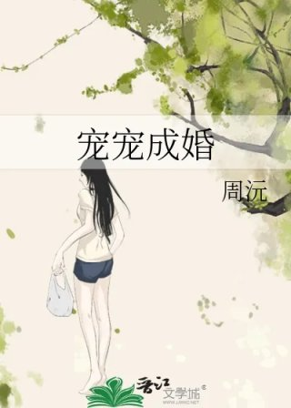 宠宠成婚