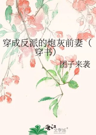 穿成反派的炮灰前妻穿书