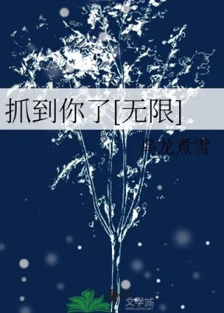 抓到你了无限