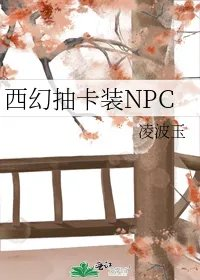 西幻抽卡装npc
