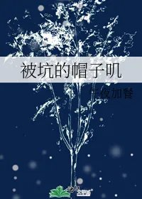 被坑的帽子叽