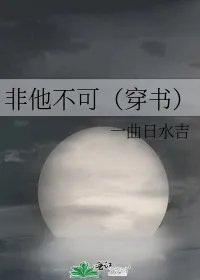 非他不可穿书