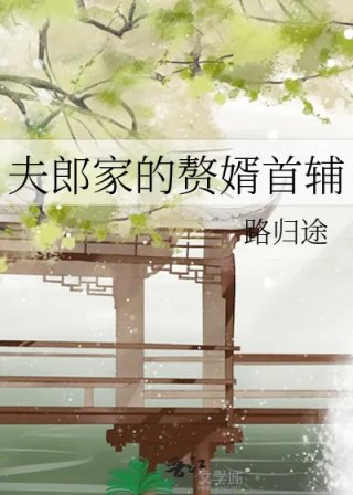 夫郎家的赘婿首辅