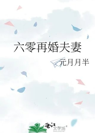 六零再婚夫妻