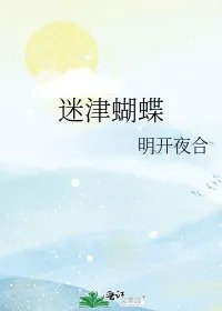 迷津蝴蝶