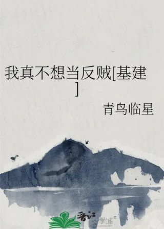 我真不想当反贼基建