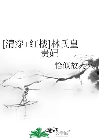 清穿红楼林氏皇贵妃