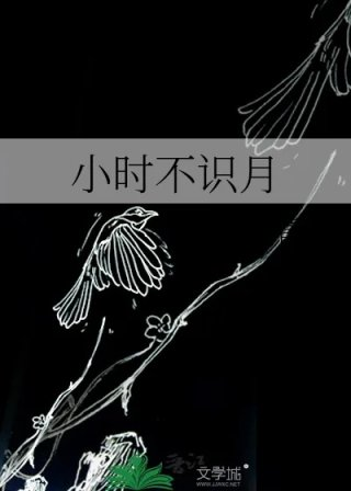 小时不识月