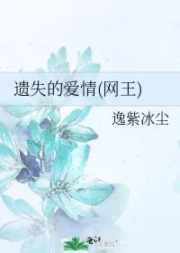 遗失的爱情网王
