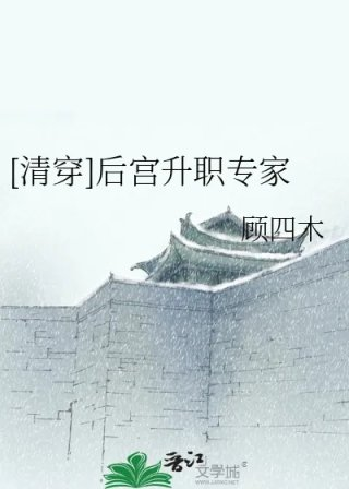 清穿后宫升职专家