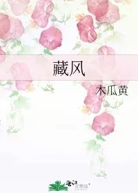 藏风