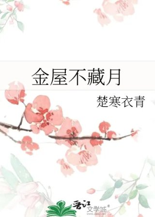 金屋不藏月