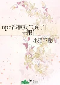 npc都被我气秃了无限