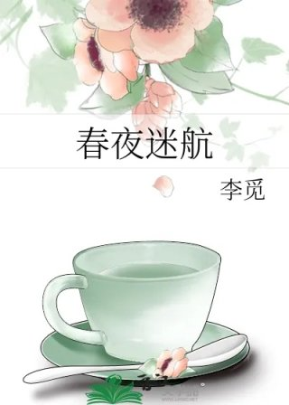 春夜迷航