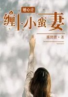 婚心计缠上小蛮妻