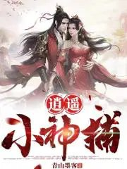 小说逍遥小神捕