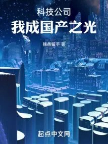 科技公司我成国产之光陈星
