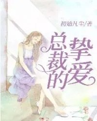 离婚后前夫总是缠着她沈云雾秦夜