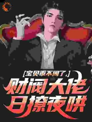 宝贝乖不闹了财阀大佬日撩夜哄