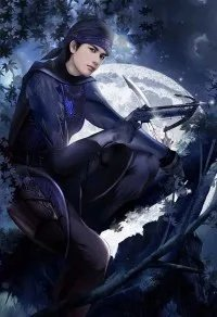 神雕游侠第一部