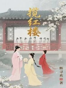 揽红楼