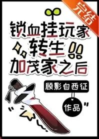 综漫同人锁血挂玩家转生加茂家之后