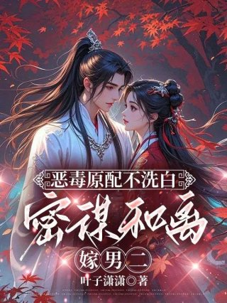 恶毒原配不洗白密谋和离嫁男二
