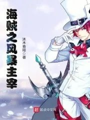 海贼之风暴剑豪