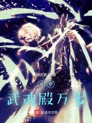 穿越斗罗加入武魂殿