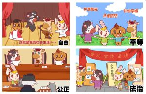 社会主义核心价值观 社会主义核心价值观