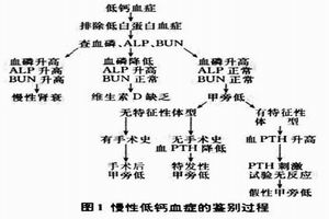 甲状旁腺功能减退症