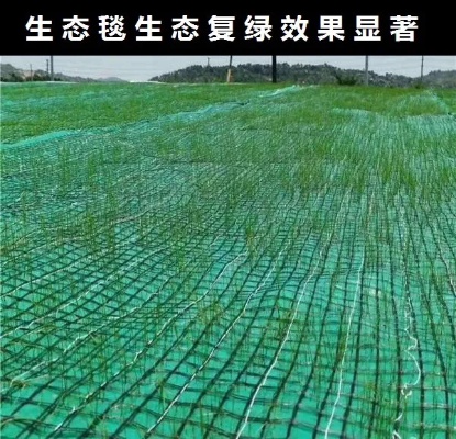 <em>河北廊坊</em>矿山生态修复绿维椰丝毯