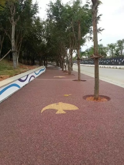 <em>绍兴</em>生态公园高承载渗透型彩色路面透水混凝土道路技术支持