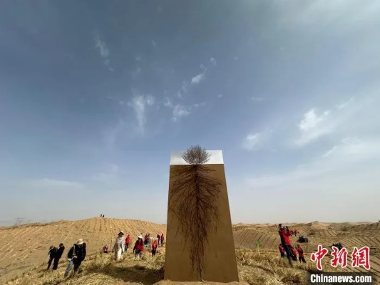 中国线上植树持续火热 西北<em>沙区</em>一周内迎千万余人“云种”