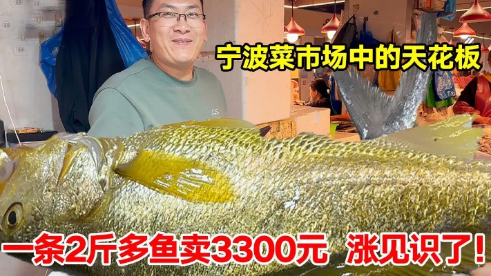 宁波菜<em>巿</em>场中的天花板，一条2斤多鱼竟卖3300元，生牛肉75元一斤