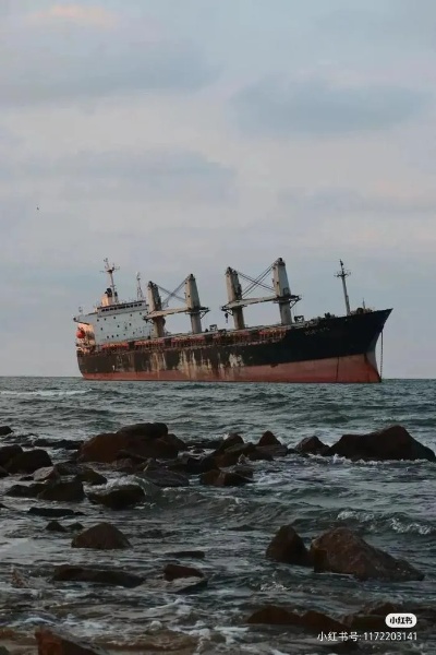 山东<em>威海</em>搁浅货轮成网红打卡地，当一艘船搁浅之后，灾难或许才刚刚开始