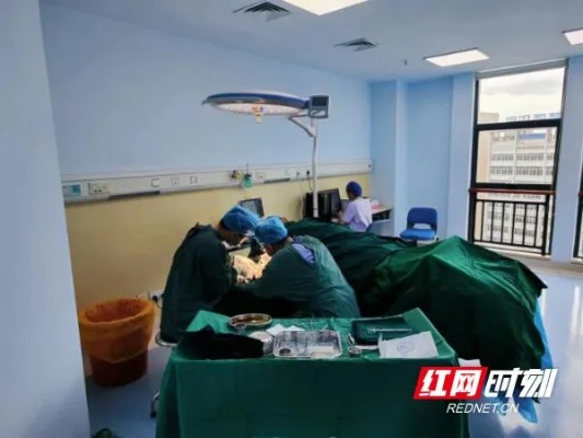邵阳市中心<em>医院骨外科</em>日间病房正式运营|