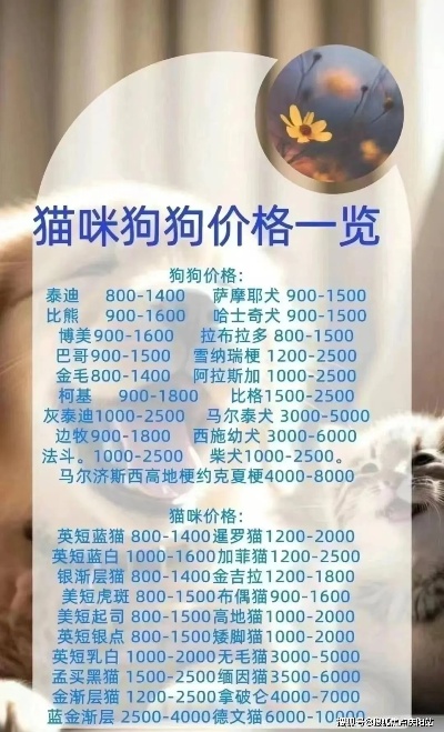 宁波买博美犬首页网站（<em>宁波镇海</em>区）哪里有卖博美犬的宠物市场