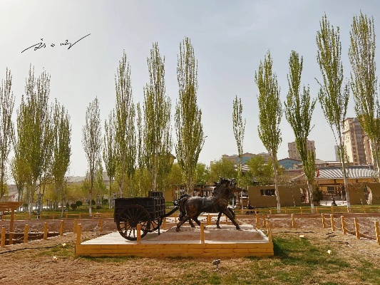 新疆<em>喀什</em>有一个重要的遗址公园，免费对外开放，却几乎没有游客？