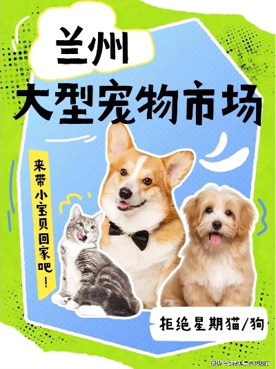 兰州买金毛幼犬首页网站（兰州市<em>安宁</em>区）哪有卖金毛幼犬的地方！