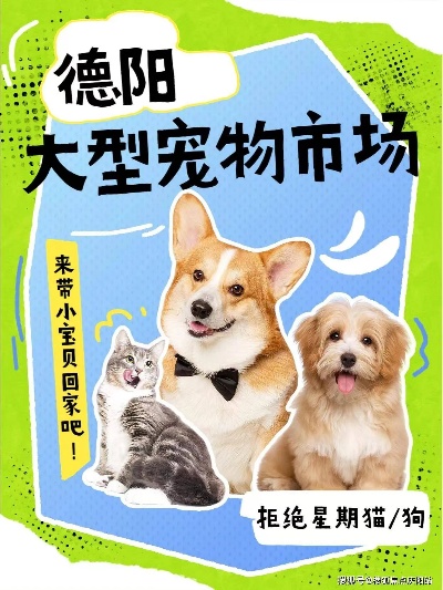 德阳买拉布拉多幼犬首页网站（<em>德阳广汉</em>市）拉布拉多幼犬去哪里买比较好！