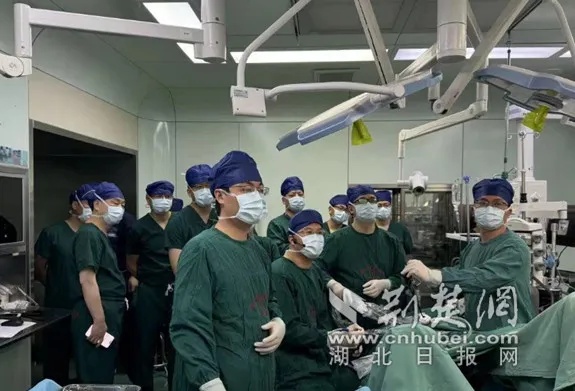 <em>武汉大学中南医院</em>举办全省低位直肠癌手术培训班 持续推动结直肠肿瘤诊疗规范化、精准化