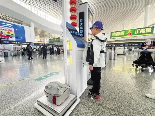 <em>中川</em>机场引入智能行李测量机 行李是否超限 5秒钟确定