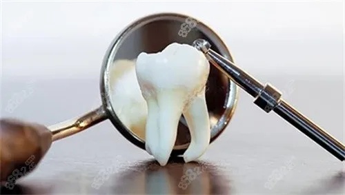 看牙科<em>哪个医院好</em>终于说清楚了，公办名气大/私立预约快！