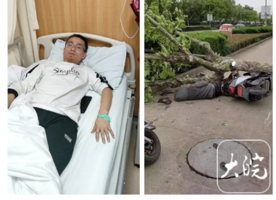 惊险！<em>芜湖</em>2市民被路边大树砸伤，他多根肋骨骨折