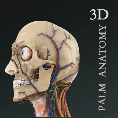 掌上3D<em>解剖</em>iOS版