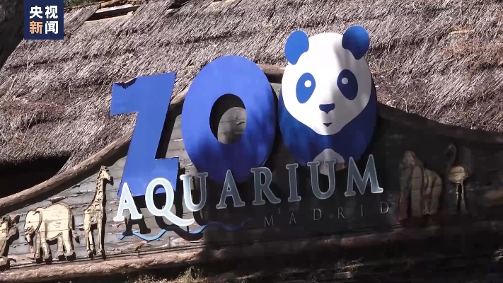 <em>西班牙马德里</em>动物园即将迎新一批大熊猫，含“金喜”“庆茱萸”等