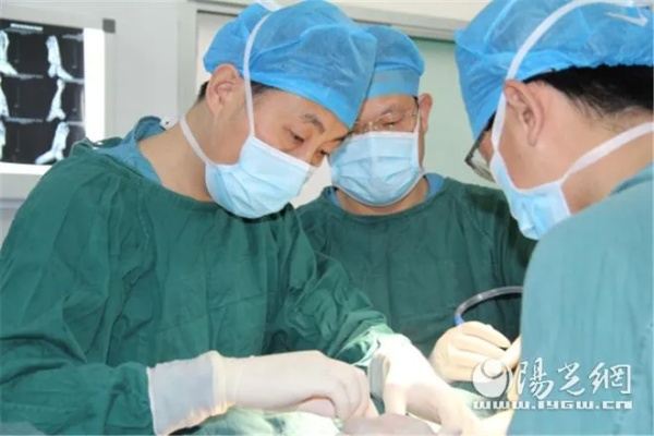 西安市红会医院<em>骨</em>显微修复外科成功完成高难度复杂断臂<em>再植</em>手术