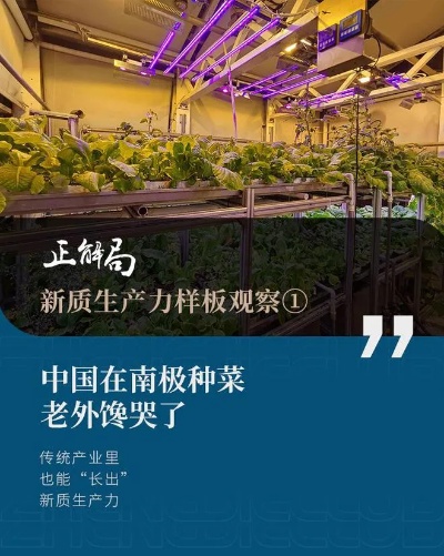 中国在南极种菜，老外馋哭了|<em>王征</em>|蔬菜|植物|长城站_网易订阅