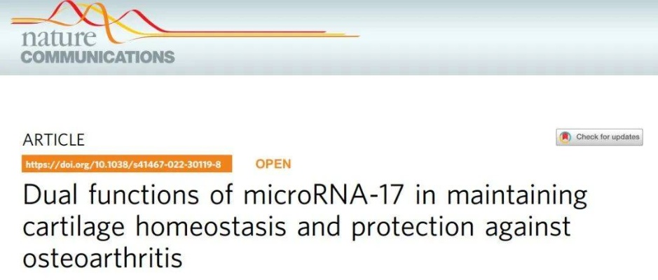 <em>同济</em>大学崔磊/孙毅团队在「Nature子刊」发表<em>骨关节炎</em>重要研究成果_microRNA-